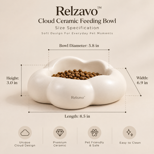 Cloud Ceramic Feeding Bowl