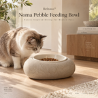 Noma Pebble Feeding Bowl