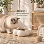 Cloud Ceramic Feeding Bowl