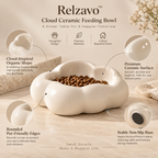Cloud Ceramic Feeding Bowl